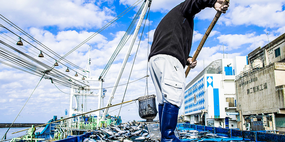 特定技能「漁業」の就業者条件とは?